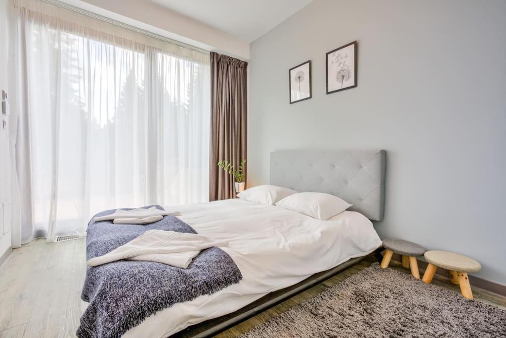 פויאנה ברשוב Splendor 3 Bedroom Flat In Silver Mountain מראה חיצוני תמונה
