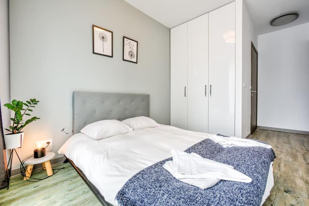 פויאנה ברשוב Splendor 3 Bedroom Flat In Silver Mountain מראה חיצוני תמונה